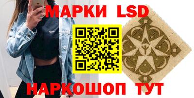 apvp Краснодар